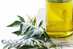 Curry Leaf Essential Oil