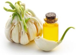 Garlic Essential Oil