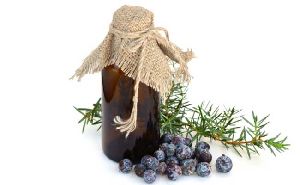 Juniper Berry Essential Oil