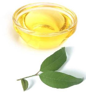 Lemon Myrtle Essential Oil