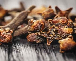 Clove Bud Oil