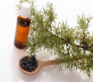 Juniper Berry Oil