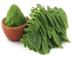 Moringa