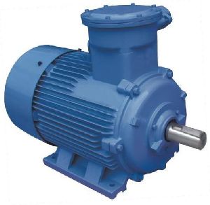 AC Flame Proof Motor