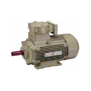 Flame Proof Electric Motor