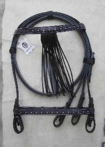 Spanish Bridle