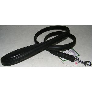 dog leash