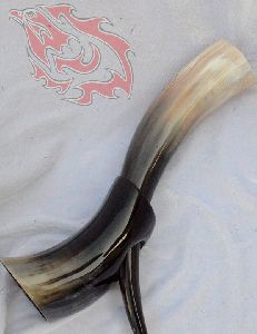 Drinking Horns