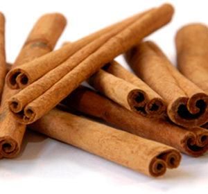 Cinnamon Stick