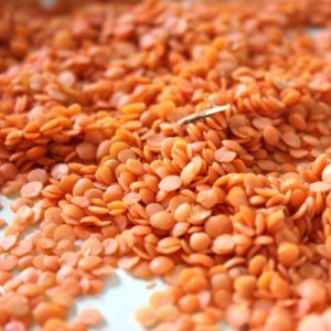 TURKISH ORIGIN RED WHOLE LENTIL