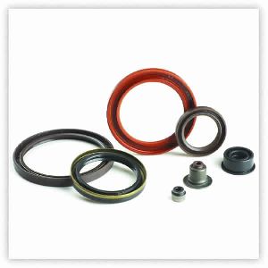 oil seals