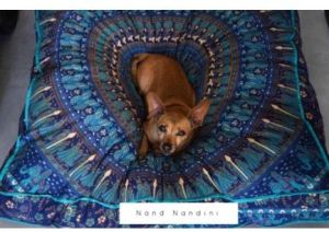 COTTON PILLOW THROW, BOHEMIAN PILLOW DOG BED COVER