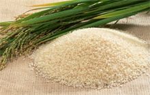 Swarna Rice- Parboiled / White