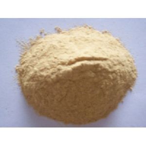 Plaster Of Paris GS Powder