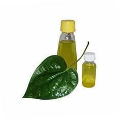 betel leaf essential oil