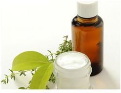 Camphor Essential Oil