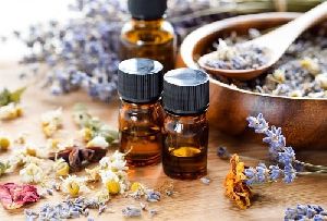 Lavender Essential Oil