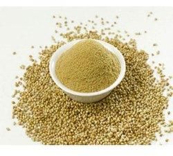 Natural Coriander Powder