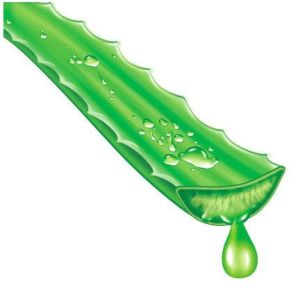 Face Aloe Vera Pulp