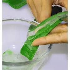 Herbal Aloe Vera Pulp