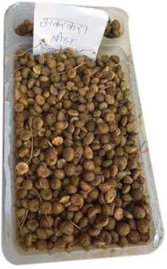 Organic Akarkara Seeds