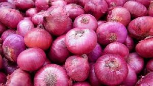 Onion