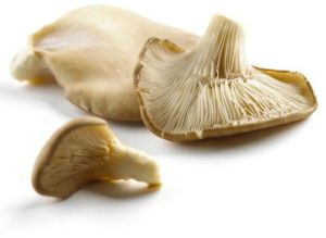 Dried Organic Oyster Mushroom