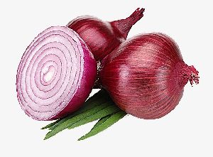 Red Onion