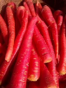 Fresh Red Carrots