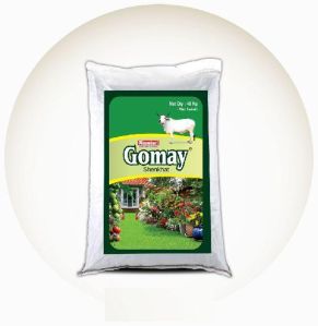 Gomay Powder