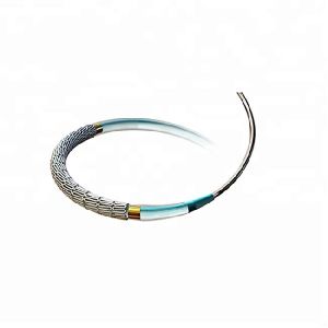 Drug Eluting Coronary Stent