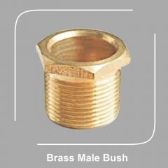 Brass Male Bush