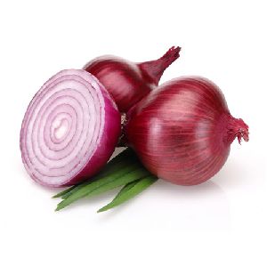 Indian Red Onion