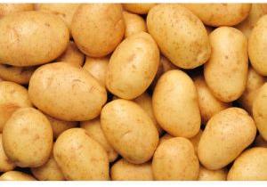 Fresh 3797 Potato
