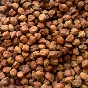 Organic Black Chana