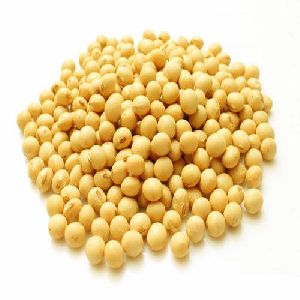 Organic Soybean Seeds