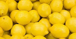 fresh Lemon