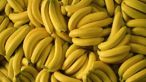 Organic Yellow Banana