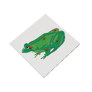 Frog printed Puzzle Game Board