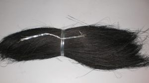 Black Bristle Fiber