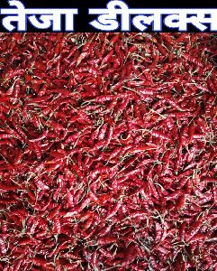 Teja Deluxe Dried Red Chilli