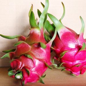 Fresh Dragon Fruit