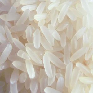 Polished Steam Rice