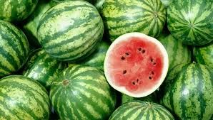 Fresh Watermelon