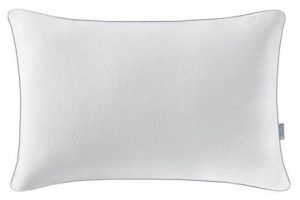 Cotton Pillow