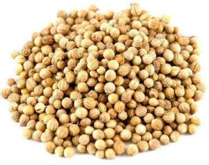 609 Coriander Seeds