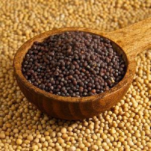 Black Big Mustard Seeds