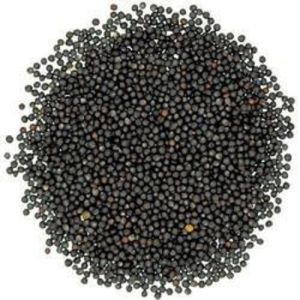 Bold Black Mustard Seeds