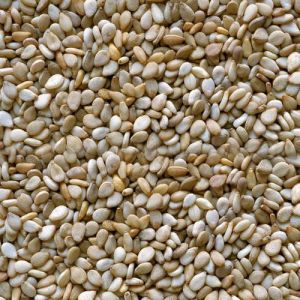 dried sesame seeds