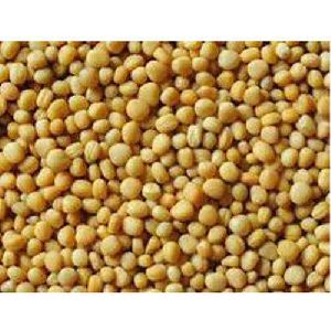 Organic Yellow Mustard Seeds